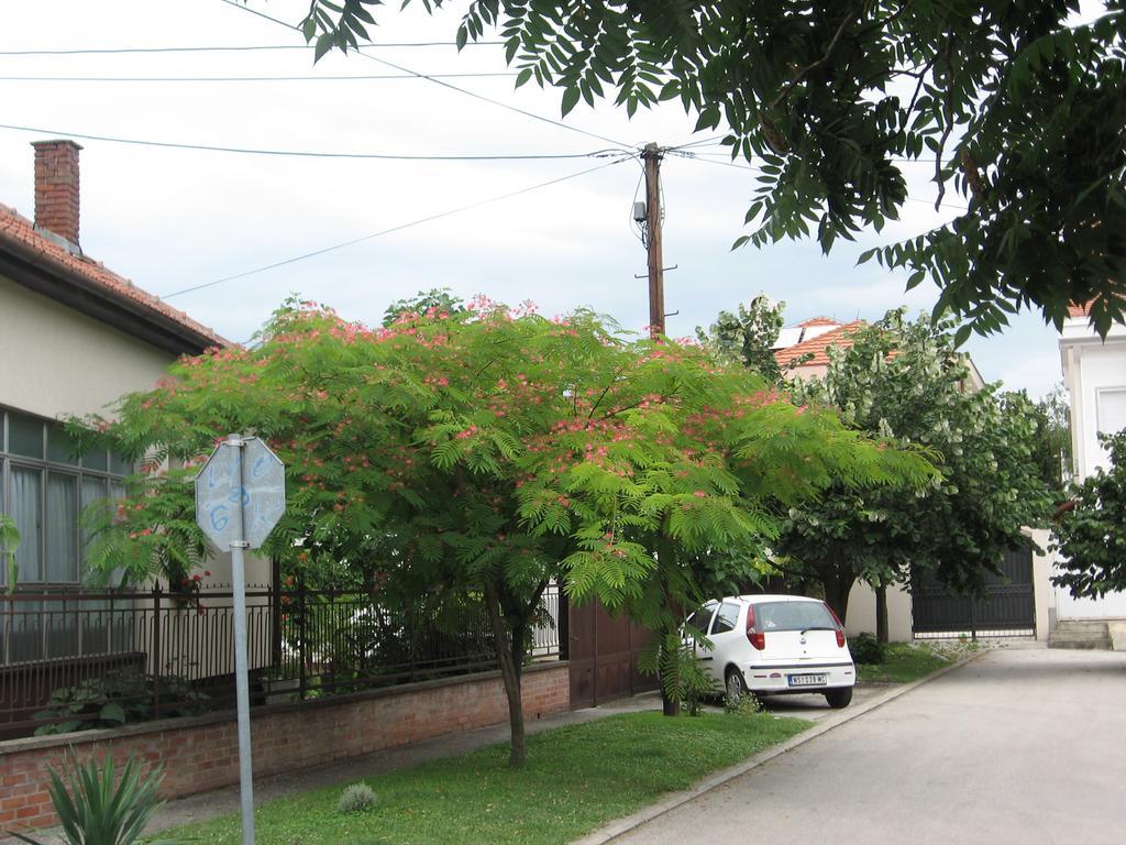 Green Apartment Novi Sad Ngoại thất bức ảnh