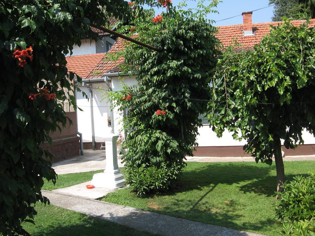 Green Apartment Novi Sad Ngoại thất bức ảnh